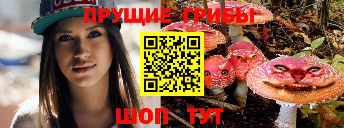 Псилоцибиновые грибы MAGIC MUSHROOMS  Вход с VPN  Галлюциногенные грибы мицелий  Валуйки 